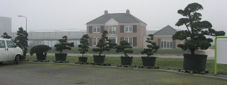Lodders Einfahrt.jpg