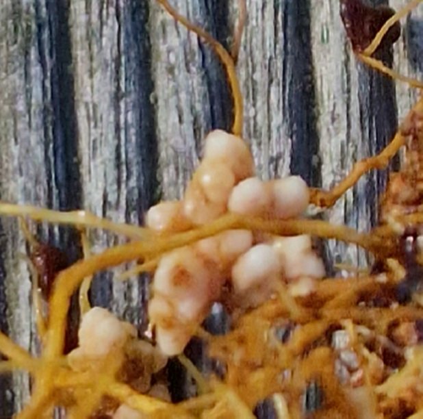 20220901_104211.jpg