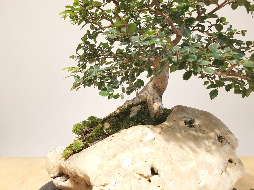 20220917_135454.jpg