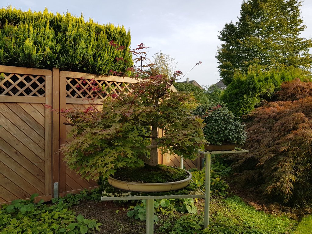 20220923_103435.jpg