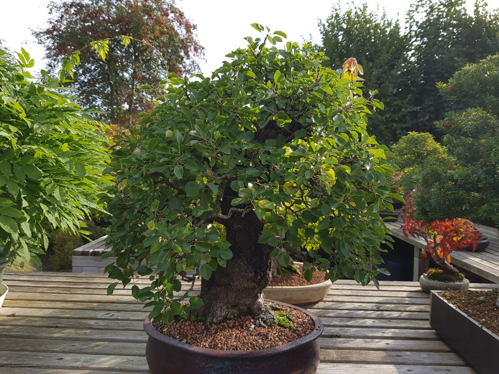 20220923_103133.jpg
