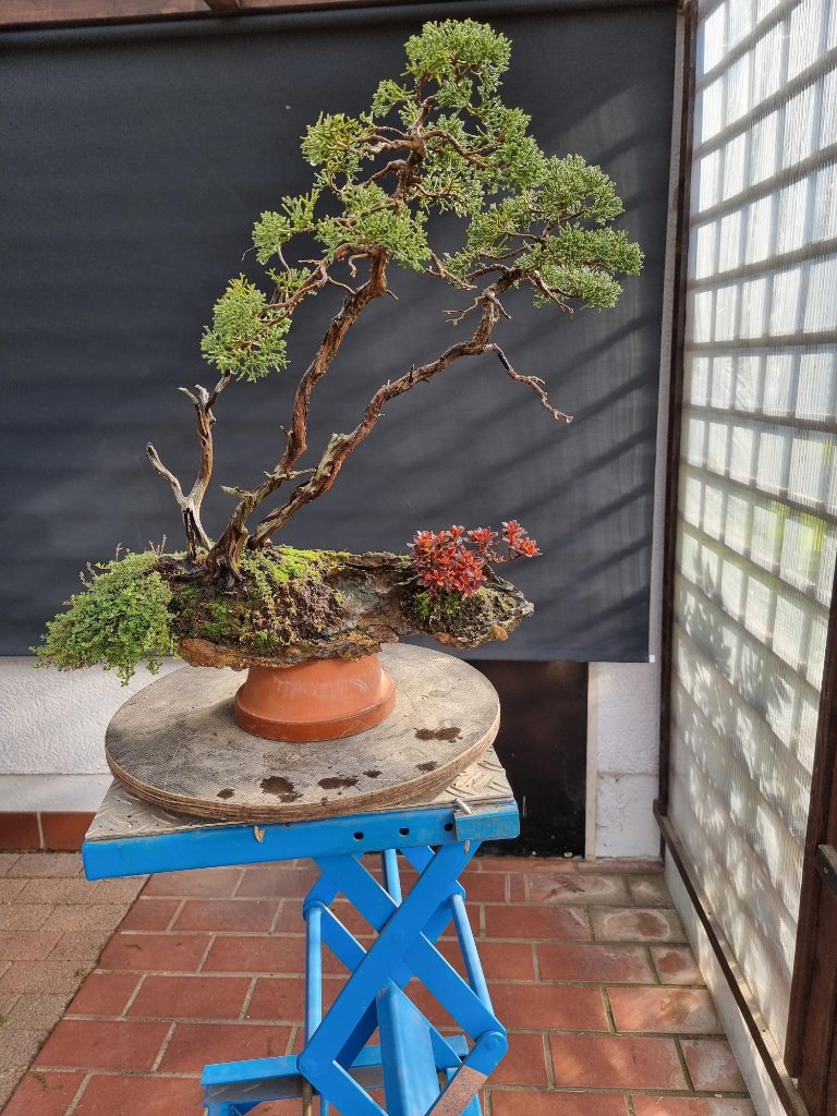 232.Noeland.20.jpg