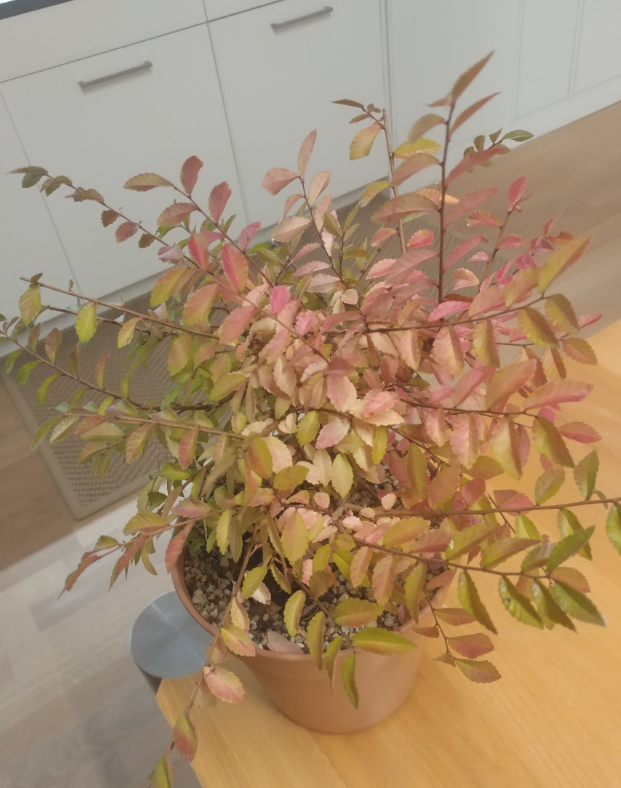 Screenshot_2022-10-13_22-30-18.png