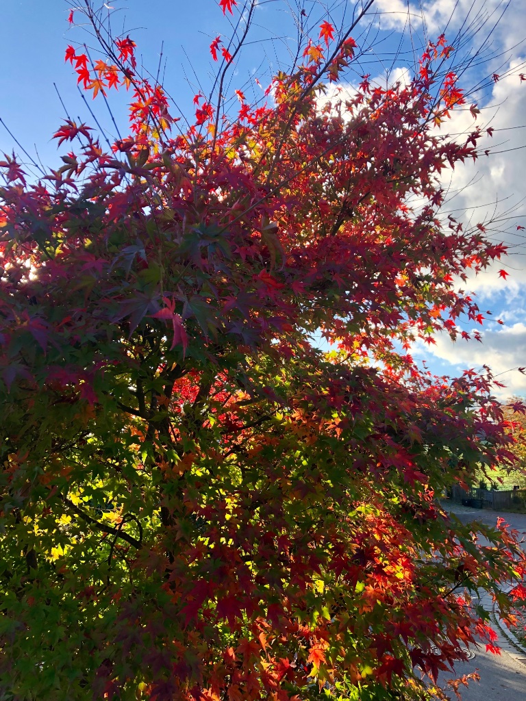 22. Okt