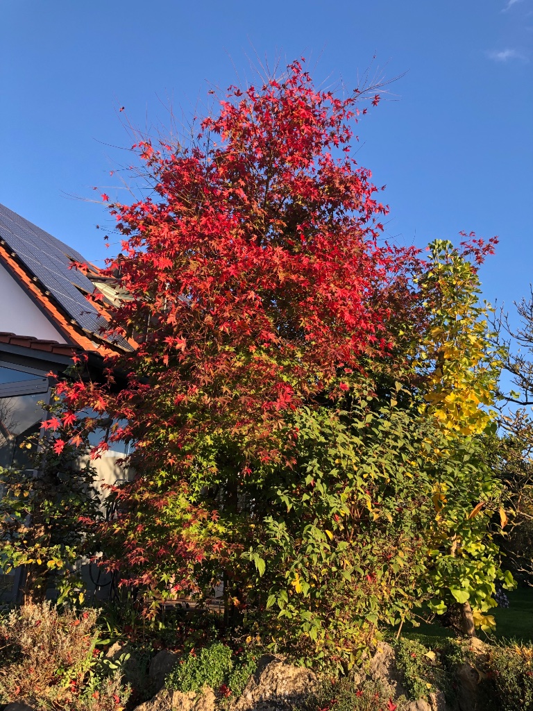 23. Okt
