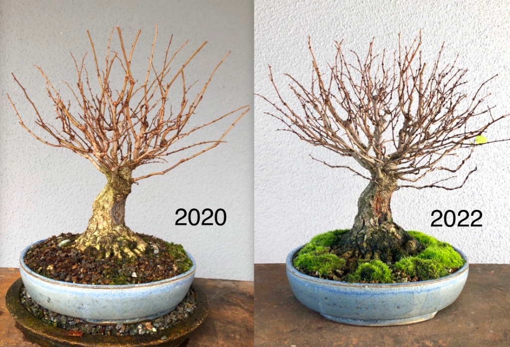 2022-10-26 -1.jpg