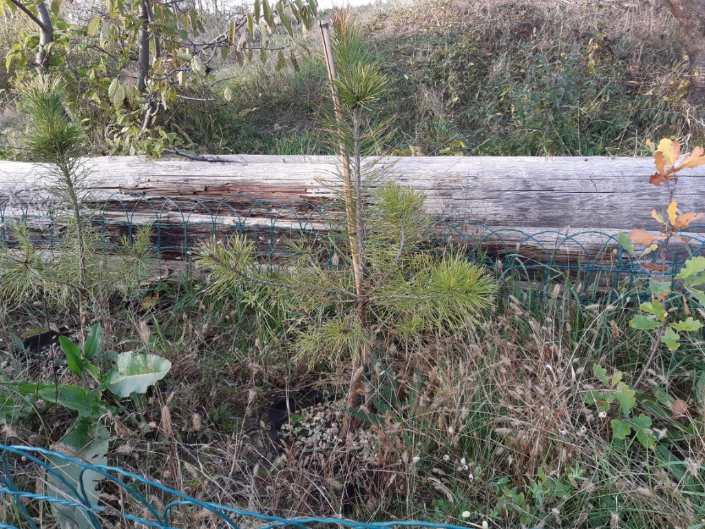20221102_152757.jpg