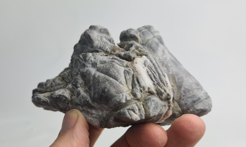 Länge 11 cm<br />Höhe 7 cm
