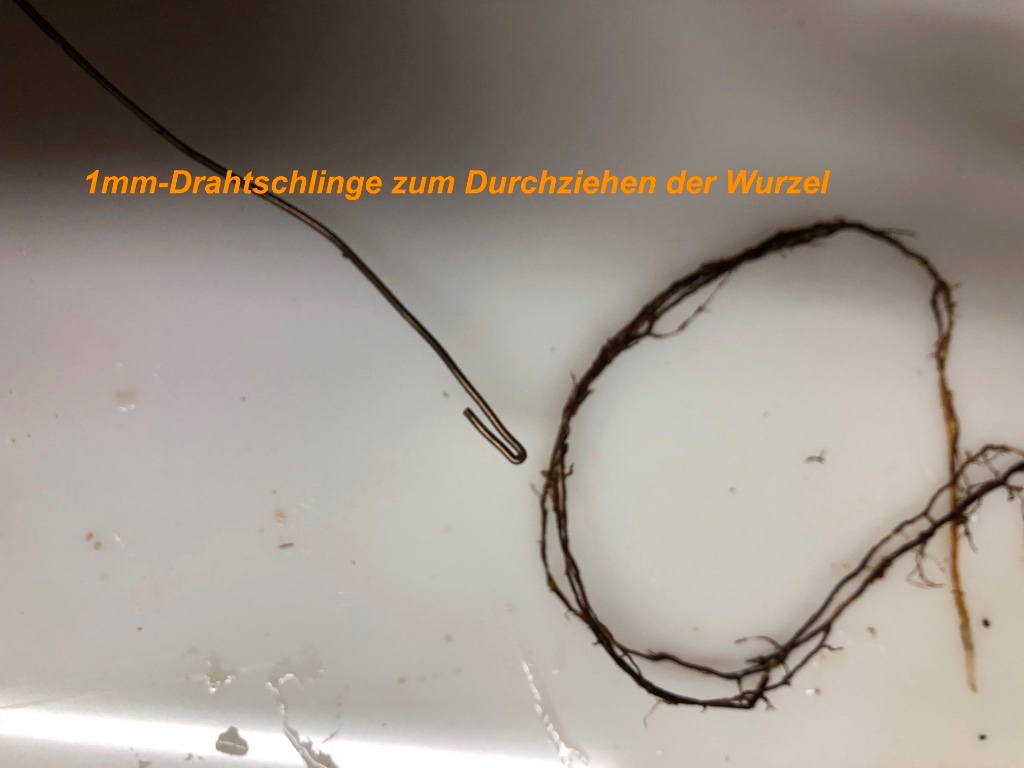 8D60761B-7F9E-4D4B-AD1D-17B2BE5BF216.jpeg