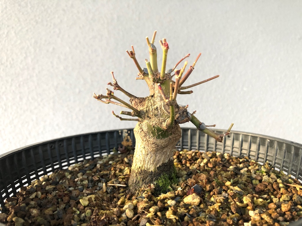 Ansicht 1