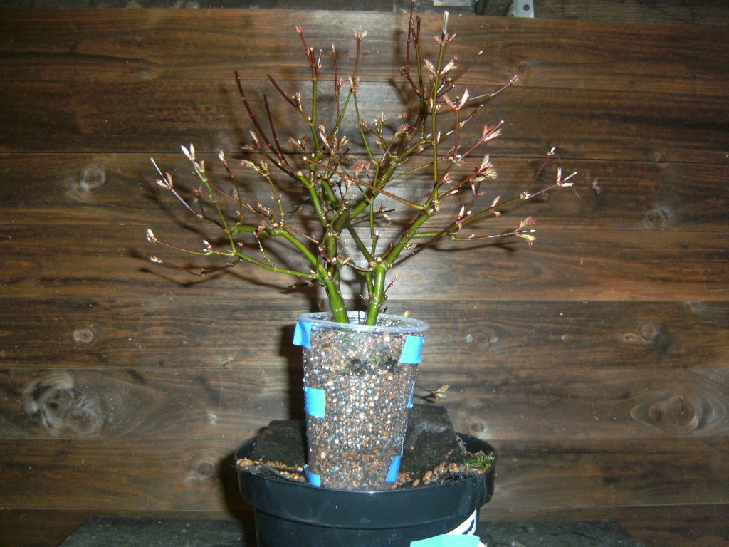 PICT3417.JPG