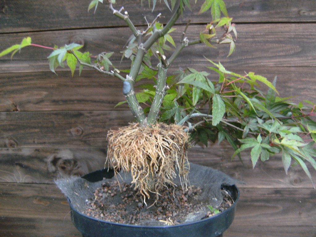PICT3572.JPG