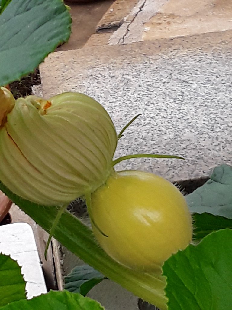 20210819_105636.jpg