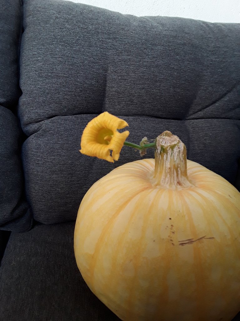 20210824_192632.jpg