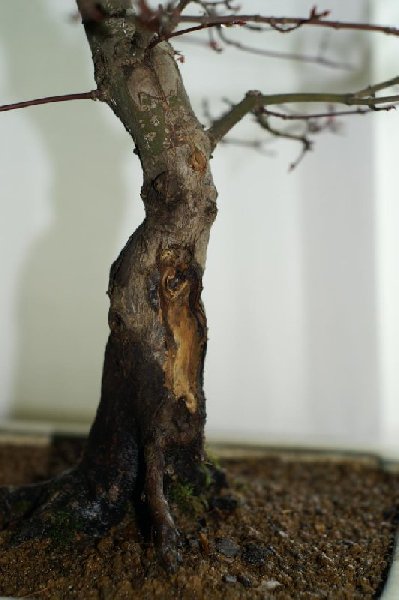K1024_PICT0337_532x800[1]_399x600[1].jpg_532x800_399x600.jpg_399x600.JPG