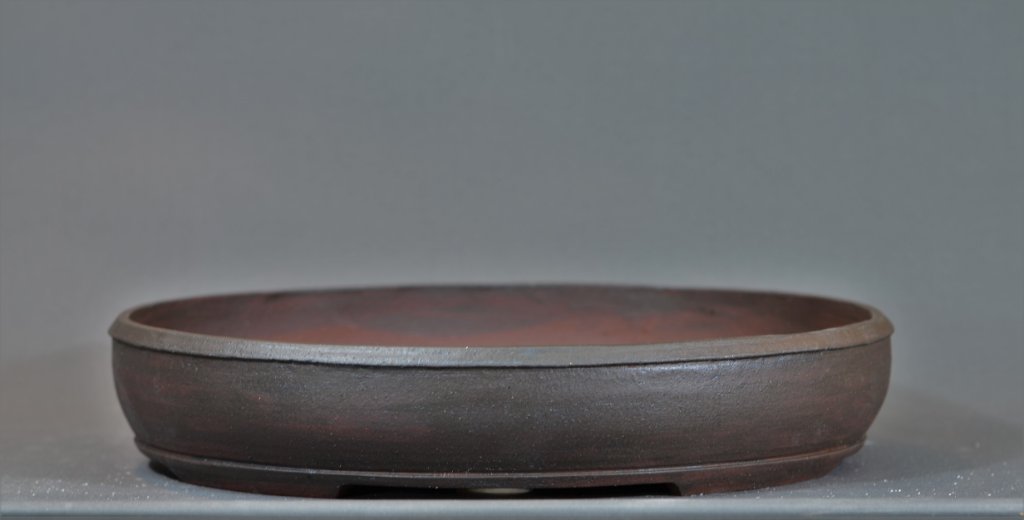 31 x 24,6 x 5 cm