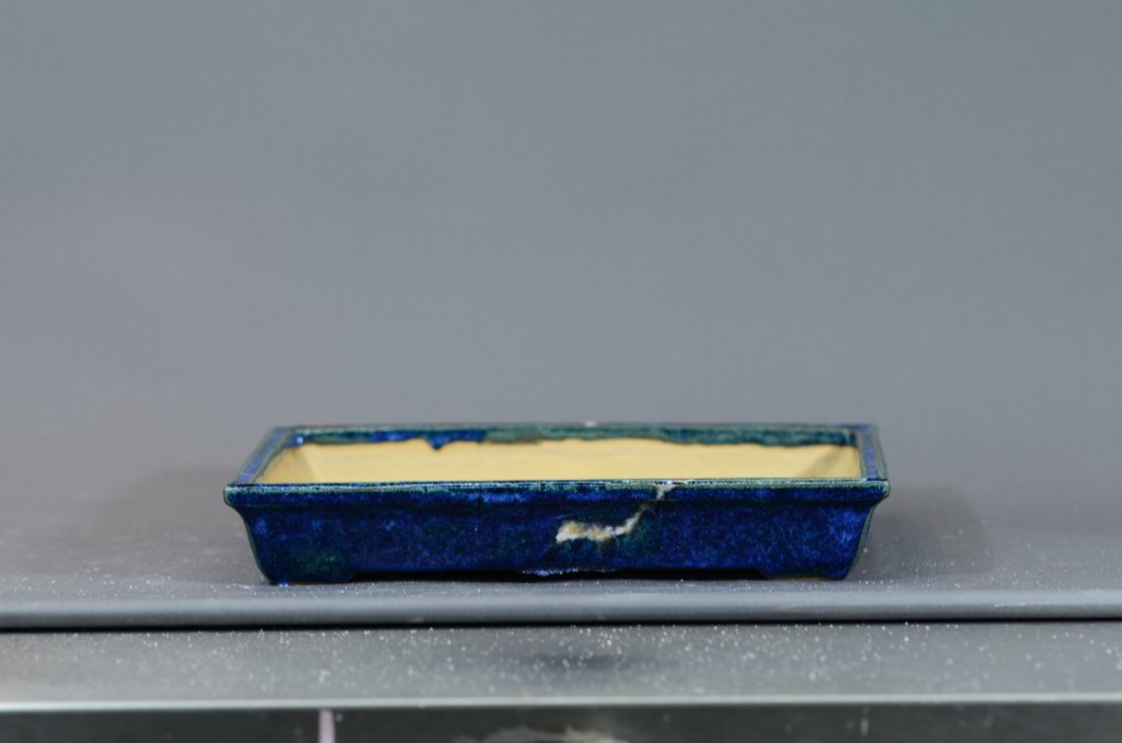 DSC_3036.JPG