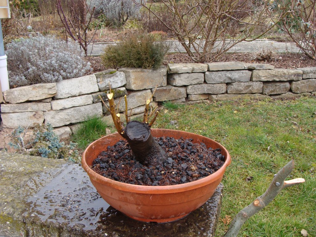 2018 03 (2);.JPG