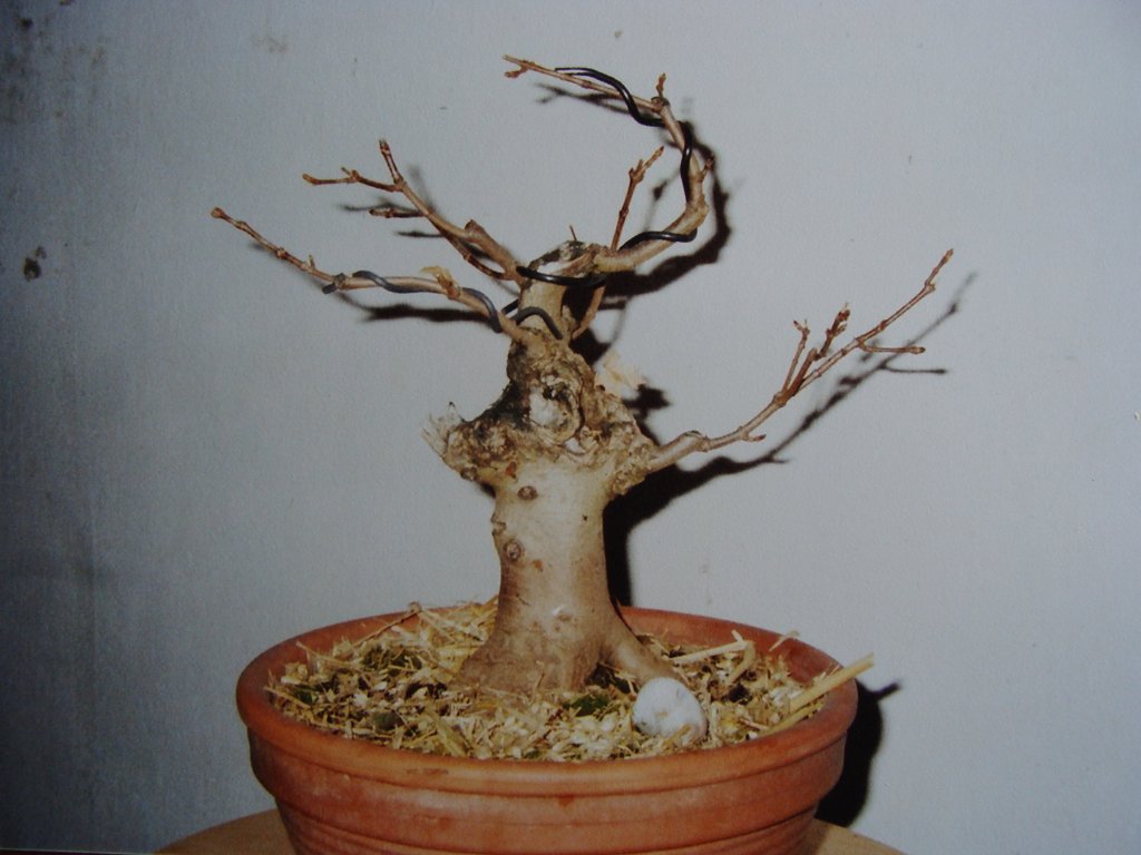 2008.JPG