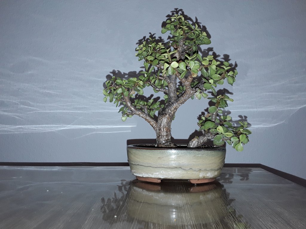 20230123_154029.jpg