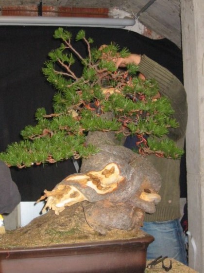 Manfred Roth 2007- Drahten 03.jpg