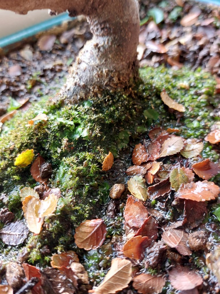 20230206_115537.jpg