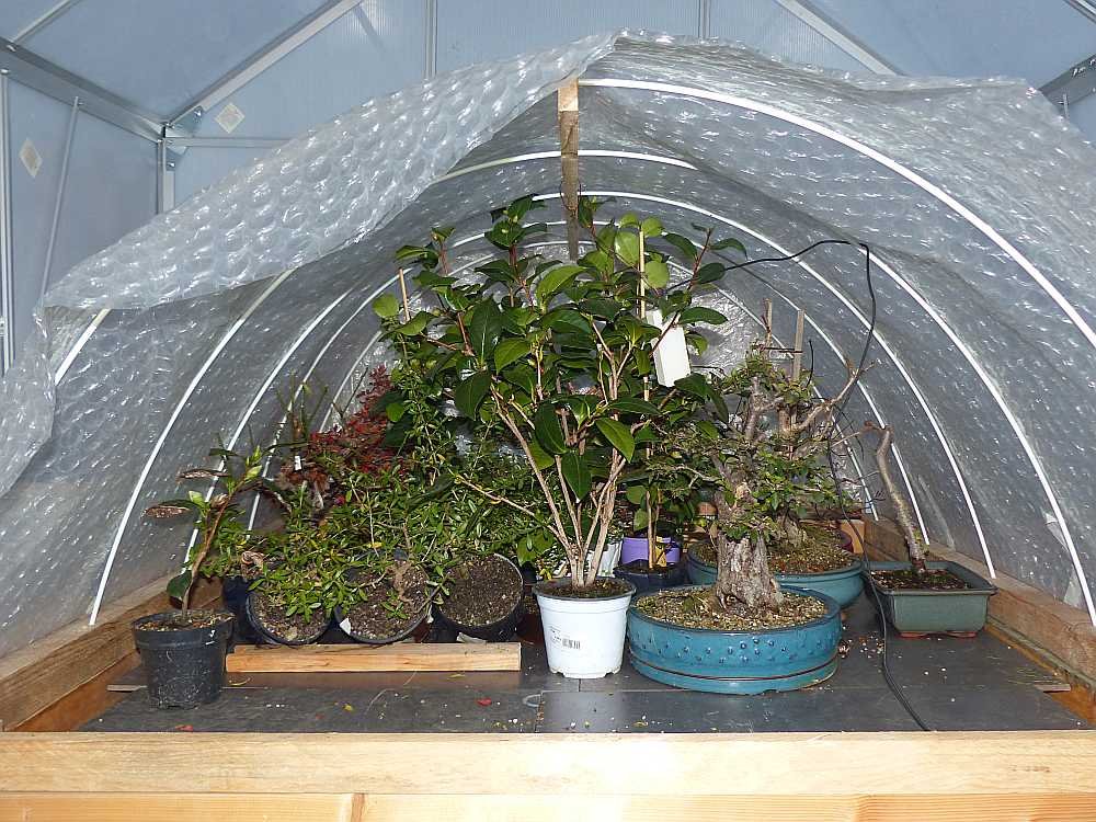 P1100176_4.jpg