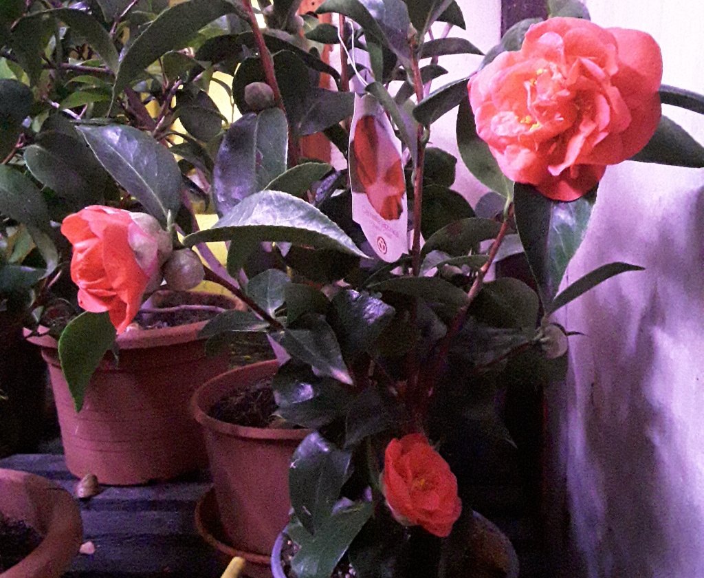 20230216_193004.jpg