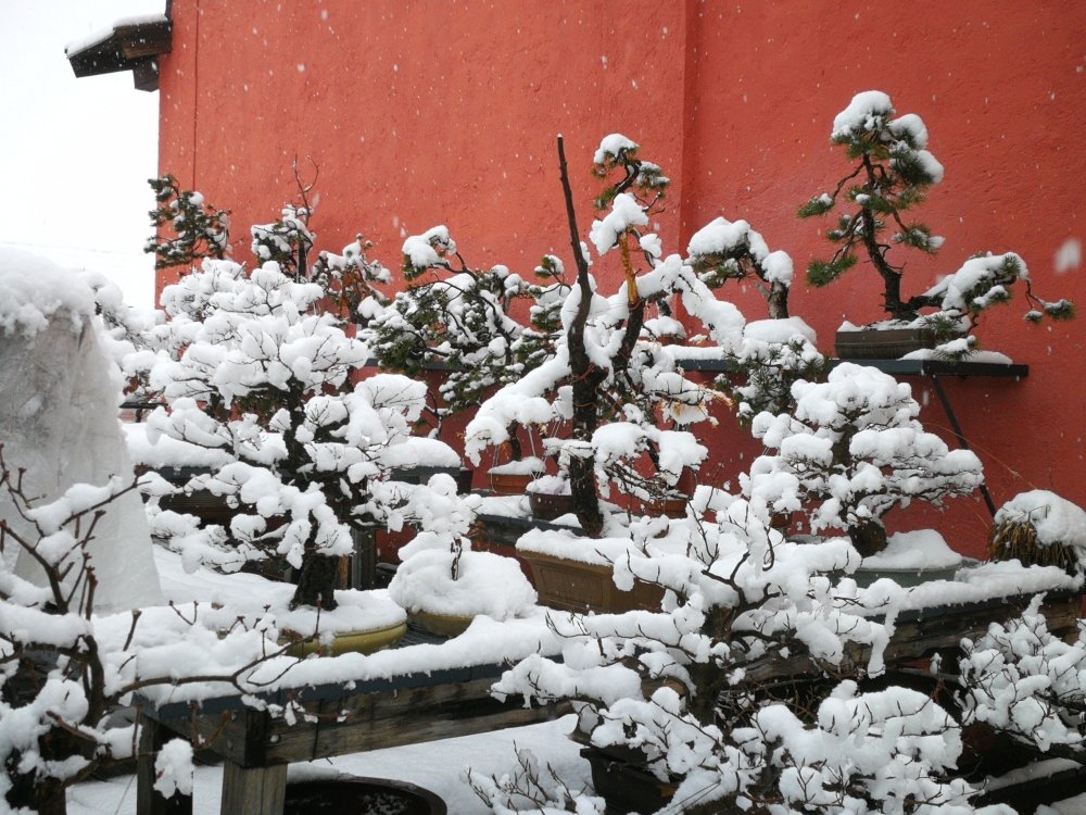 Winter 21/22