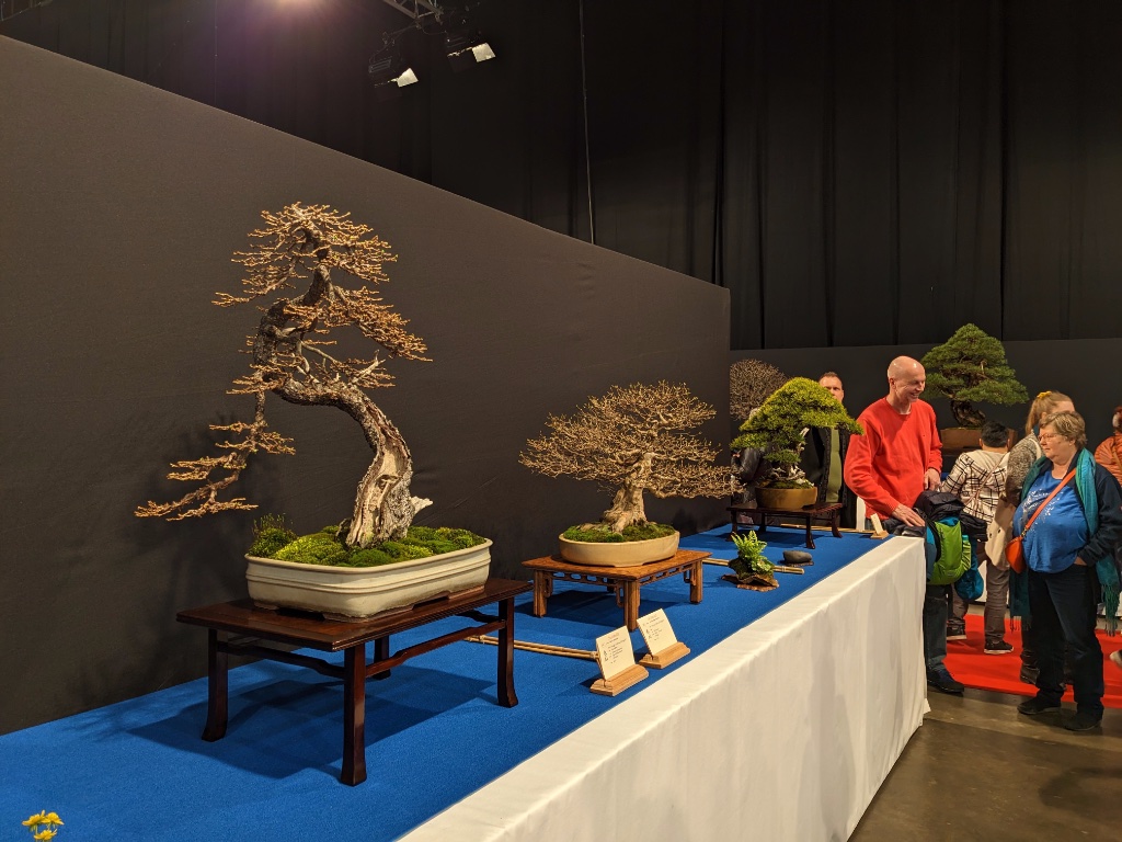 Impressionen von der Ausstellung