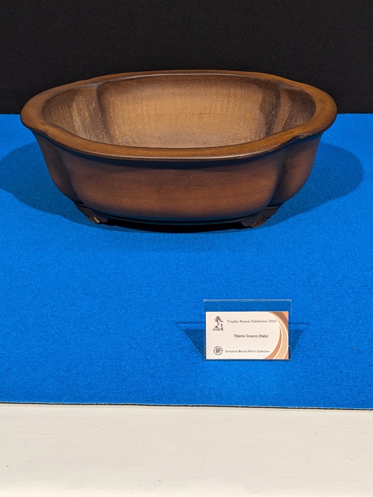 Schale Tiberio Gracco