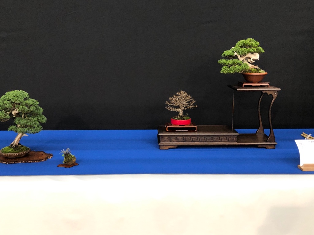 787F4F18-041A-4DC1-A8AE-E6B7460C6646.jpeg