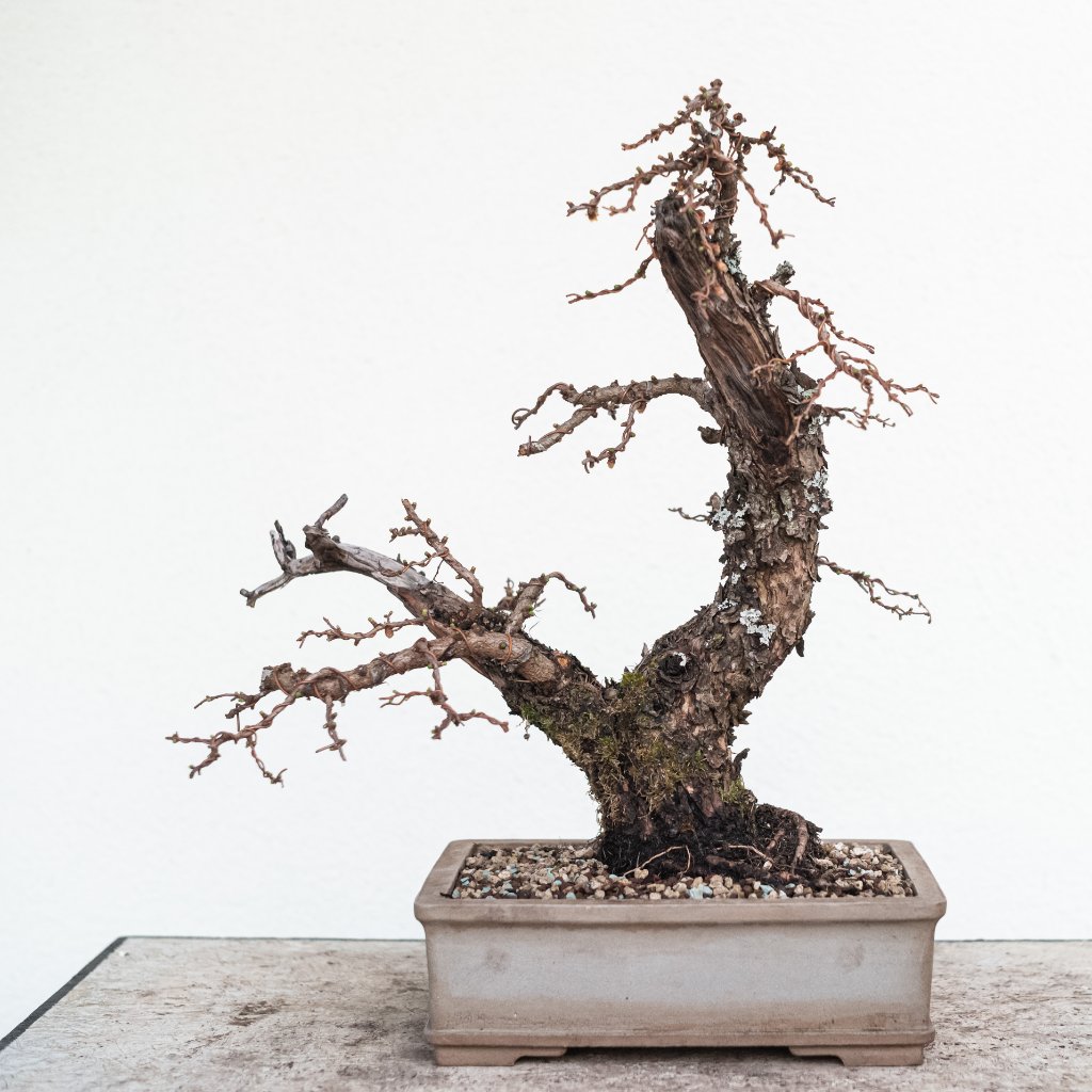 L1003161 Kopie.jpg