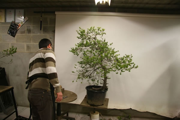 Das Ausgangsmaterial