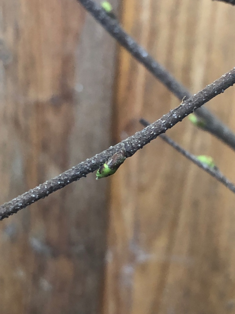 35AAC553-32A4-4754-B82C-147ECFEB75E0.jpeg