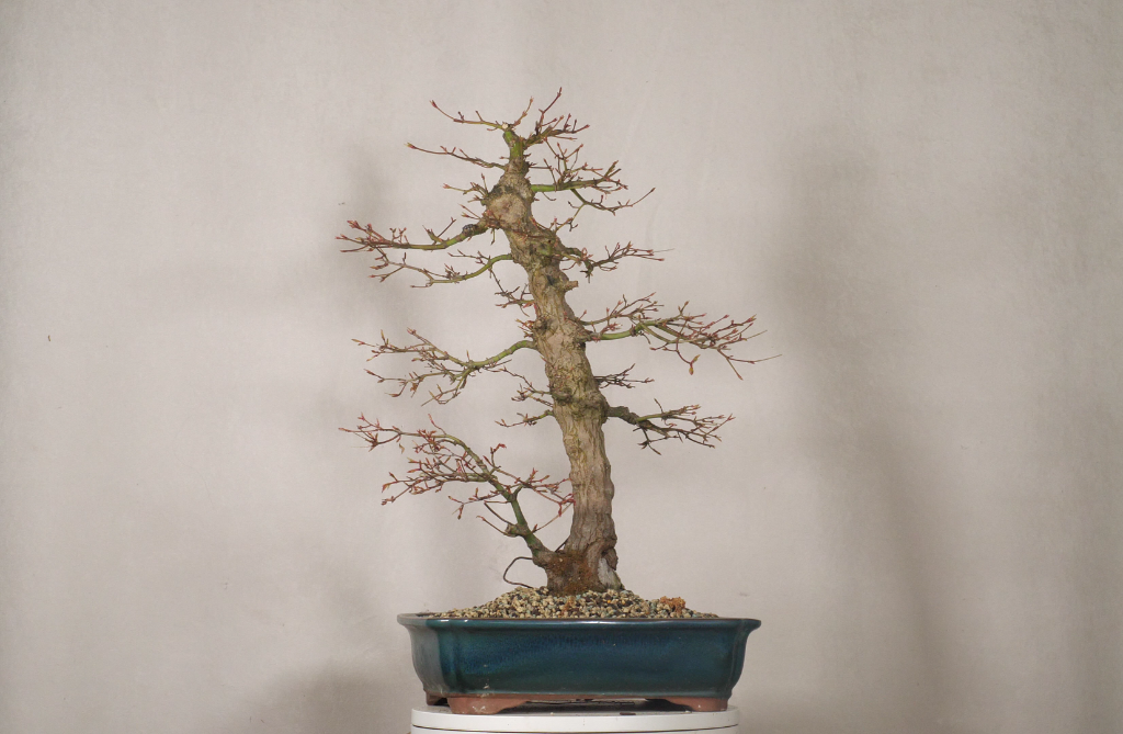 P1027653_ 2 (00.00.57.01).png