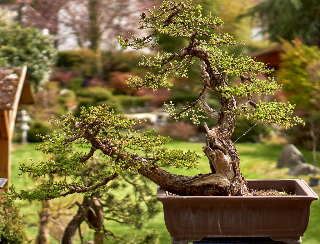 DSC00391.jpg