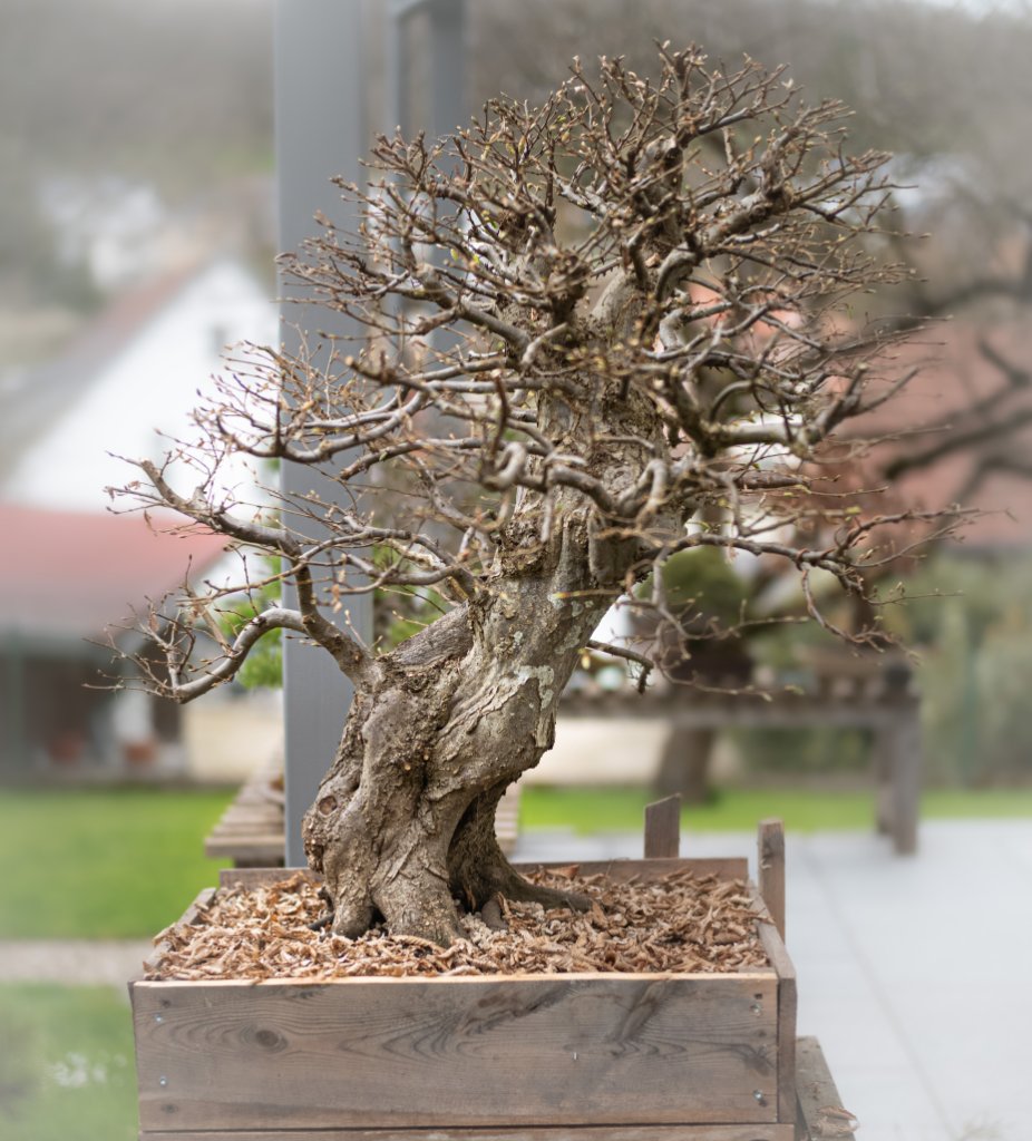 L1003206 Kopie.jpg