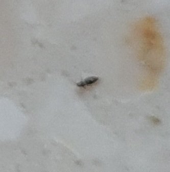 20230418_175225.jpg