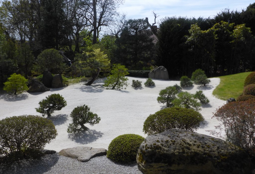 P1210708dew.JPG