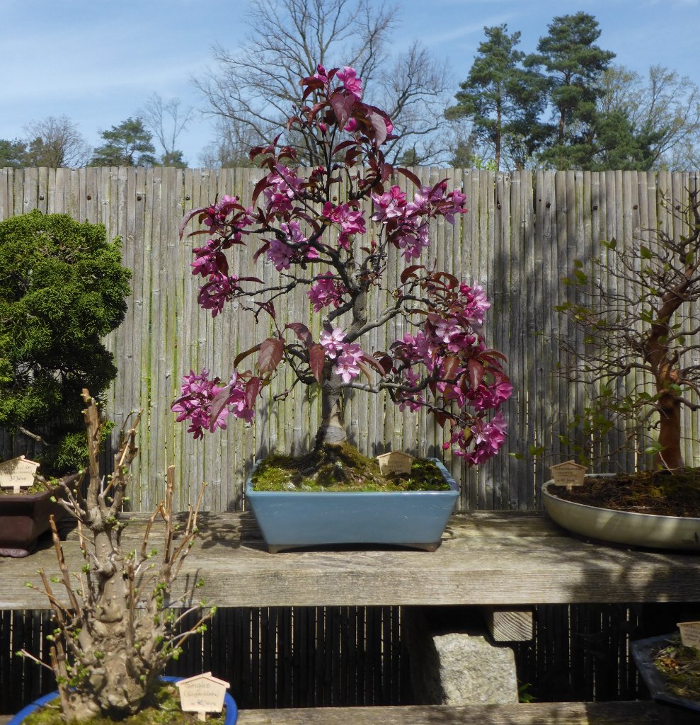 P1210727tz65r.JPG