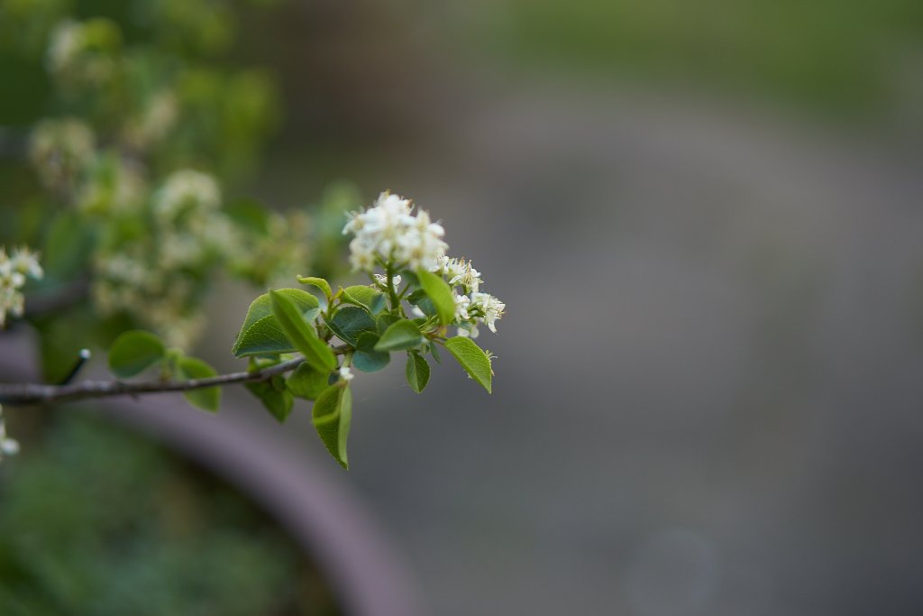 DSC00416.jpg