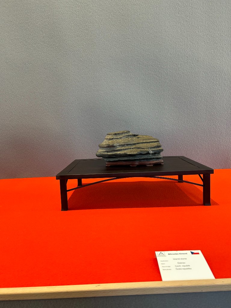 IMG_1074.JPG