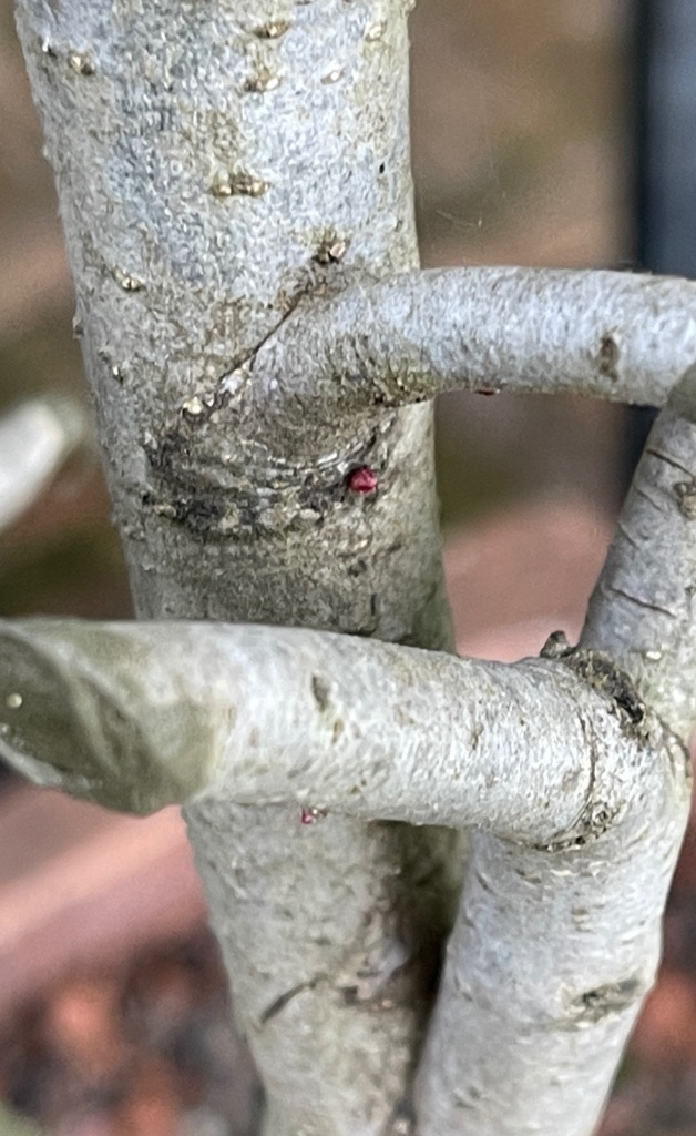6FFB0517-F377-4D39-A500-2EB17A5AC1E7.jpeg