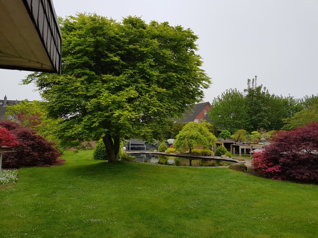 20230511_090157.jpg