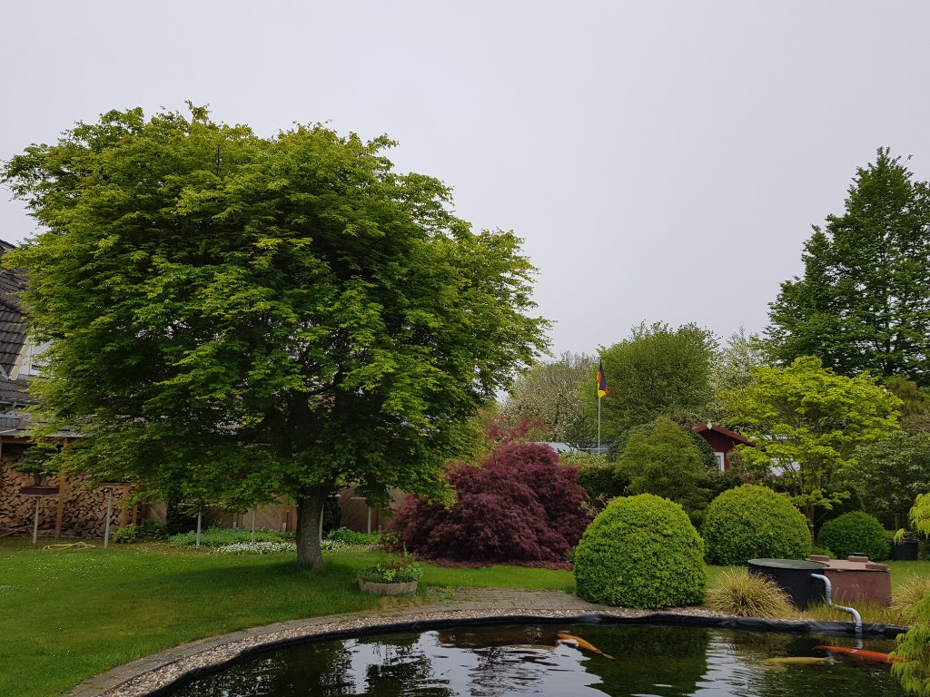 20230511_085444.jpg