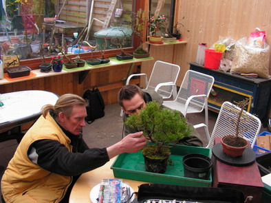Baumbesprechung mit Backyard und Sylvester