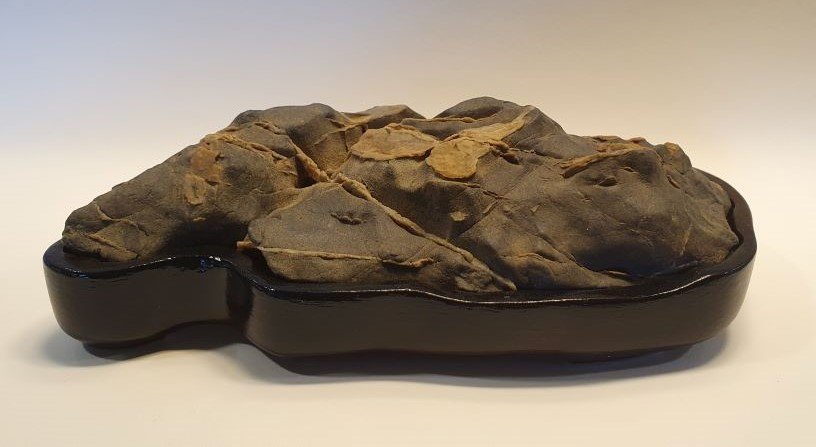 Diese kleine Gebirge ist 16 cm breit und nur 5 cm hoch. Weil der Boden sehr uneben ist, musste das Daiza leider auch ziemlich tief werden.