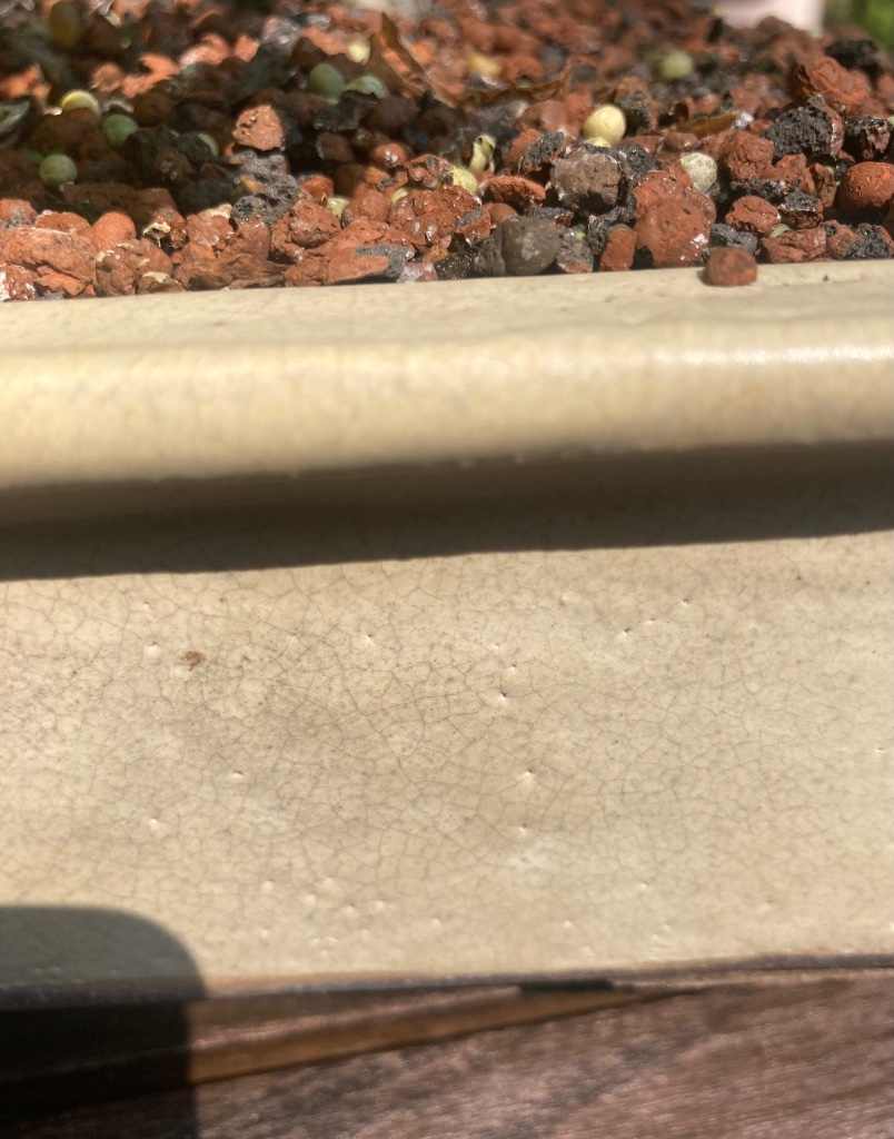 IMG_5646.jpeg