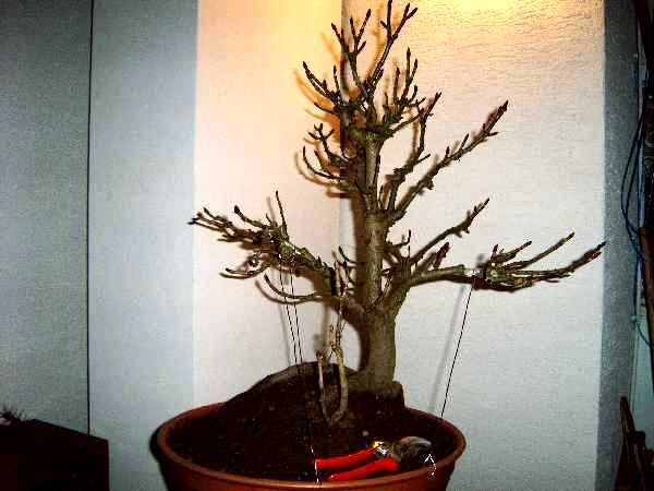 Vorderseite